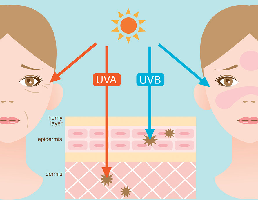 diagram-of-ultraviolet-light-and-the-effects-ultraviolet-light-and-sunscreens-dermatology-institute-of-america.jpg